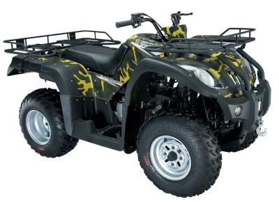 Китай батарея 250cc ATV использующая энергию вся рука корабля местности контролировала 4x2 со снега дороги продается