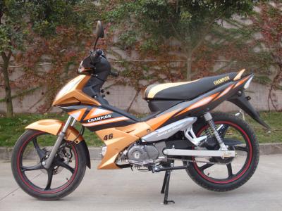 中国 自動Heterotypeのマフラーの通りの土のバイクの水晶ランプの後部棚110cc 販売のため