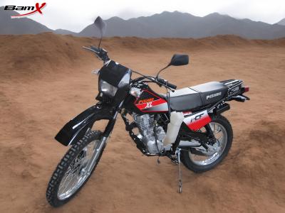 China 125cc 150cc Adventure Dual Sport Motorcycles 2.1l 200 4 Stroke Dirt Bike for sale