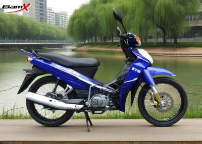 Cina Bici elettrica d'annata ad alta densità della sporcizia della ruota 110cc del raggio del motociclo del CUCCIOLO C8 in vendita