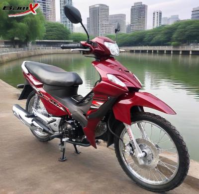 中国 12v 5ahカブスのオートバイの自動クラッチ110ccピットの土のバイクのホンダ125ccのオートバイ 販売のため