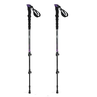 China Cork New Design 3 Section Telescope 7075 Aluminum With Carbon Texture Surface Trekking Pole Nordic Walking Pole for sale