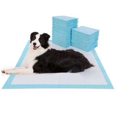 China POP DUCK Wholesale Durable Disposable Large Breathable Puppy Training Pads Pee Wee Super Absorben Pet Toilet Dog Mats for sale