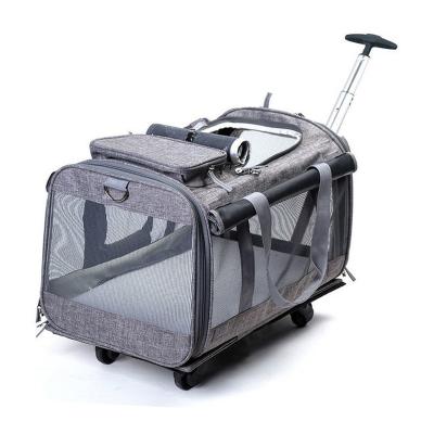 China Adjustable Portable Foldable Cats Handbag Travel Foldable Cats Bag Carrier Adjustable Customized Pet Trolley Bag for sale