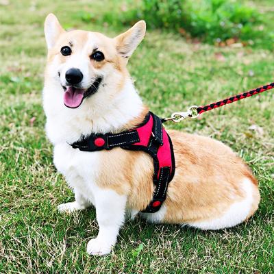 China Personalized POP DUCK Custom Tracking Large Dog Collar Nylon Reflective Adjustable Pet Collars For Dogs for sale