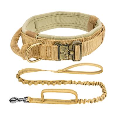 China Custom Running Training Belt POP DUCK Strap Sling Hook Adjustable Dog Bungee Durable Nylon Outdoor Tactical Elastic Dog Leash for sale