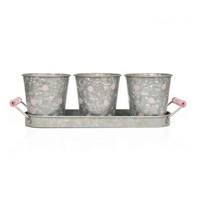 China Modern American Style Farmhouse Vintage Galvanized Metal Herb Plant Herb Pot Planter With Tray for sale