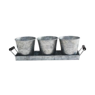 China Wholesale American Style Galvanized Metal Herb Pots Indoor Gardening Planter With Tray for sale