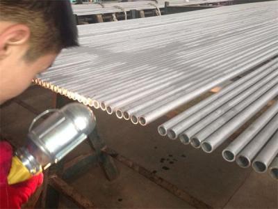 China AISI 304L / 316L Seamless SS Boiler Tube ASTM A213 / A269 for sale