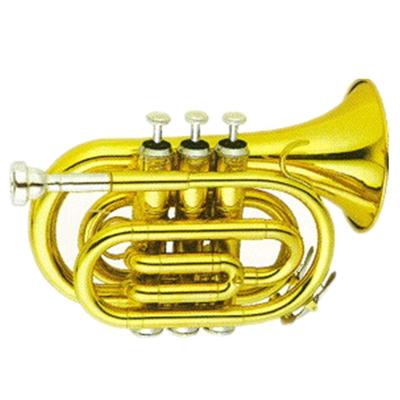 China Gold Lacquer Body Cupronickel Brass Tone Bb Pocket Trumpet HT8103 Valves for sale