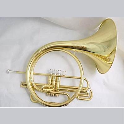 China Bb Key Piston French Horn Body Cupronickel Brass Leadpipe Lacquered With Case Musical Instruments TDMF9730 for sale