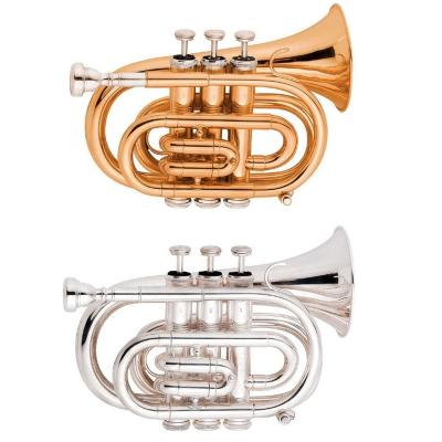 China Gold Lacquer /Silver Plated Pocket Tone Bb HT8064 Trumpet for sale