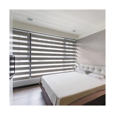 China Custom Size Eco-Friendly Zebra Blind Shade Window Roller Curtain Double Blinds for sale