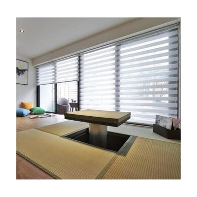 China Hot Sale Blackout Double Layer Minimalist Blinds For Window / Soft Double Gauze Zebra Blinds for sale