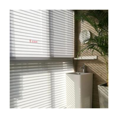 China High Quality Minimalist Choose Pure Manual Window Shades Light-filtering Roller Blinds for sale