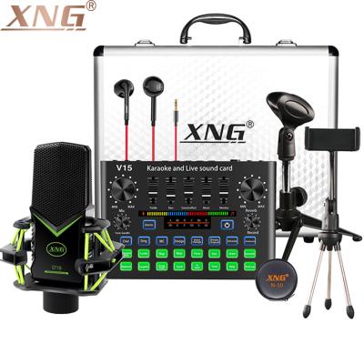 China KTV New Style Sound Card V15&GT18 Microphone Studio Recording For Home Studio for sale