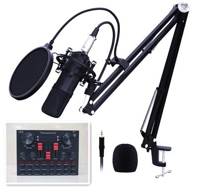 China Best Price With High Quality Hot Sales V8s Audio Recording Monitors Sound Card BM800 Condenser Microphone Kit for sale