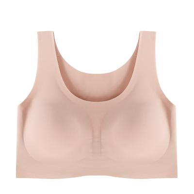 China Wholesale Custom Soft QUICK DRY Logo Wireless Sports Comfortflex Fit Women's Comfort Lift Up Bra for sale