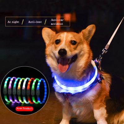 China Lights Pet Supplies Personalized LED Dog Collar Medium and Multicolor Small Dog Silicone Pet Collars for sale