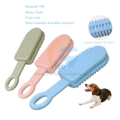 China Interactive Sustainable Pet Toys New TPR Dog Molar Stick Fun Cleaning Bite-Resistant Teeth Pet Molar Stick for sale