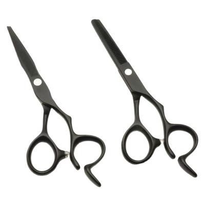 China 5.5/6 Inch Eco-Friendly And Japan Promotional Hair Cutting Scissors Barber Shears Scissor For Salon Professional Steel Hair Cutting for sale