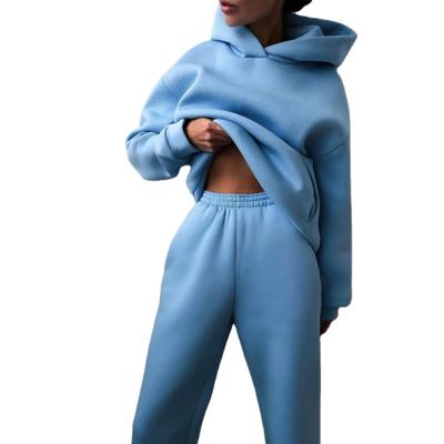 China 2021 New Arrivals Winter Hoodie Women's Solid Color Thick Women's Viable Casual Sweater Suit for sale