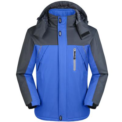 China Sustainable Men's Waterproof Windproof Padded Jacket Polyester Winter Coat for sale