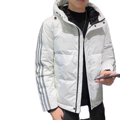 China New Winter Sustainable Fashion Small Short Jacket Men's Warm Down Bread Jacket Hooded Jacket for sale