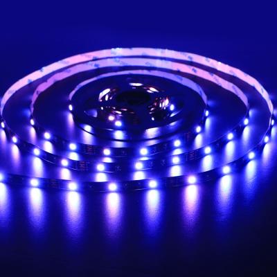 China 5V TV Background strip lamp60 LEDs/meter SMD 5050 LED Smart Strip Lights for indoor for sale