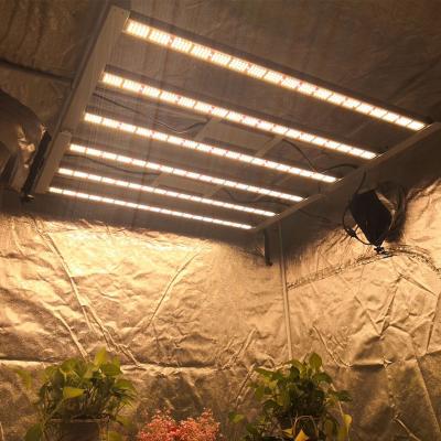 China Plantas plegables LED y luces de crecimiento de flores para el cultivo de plantas en invernadero en venta