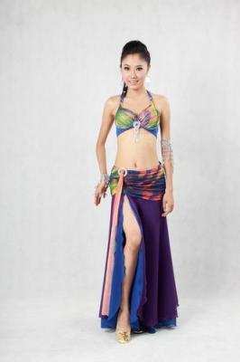 China Distinctive Halter Neck Metallic Bra Top 2Pcs Belly Dancer Costume For Womens for sale