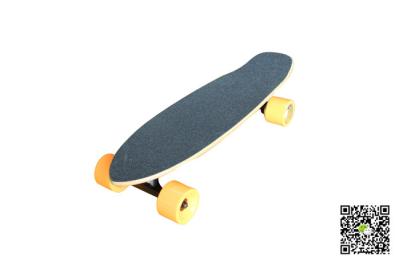 China 4 Wheel 160W Motor Mini Remote Control Skateboard Electric For KIDS for sale