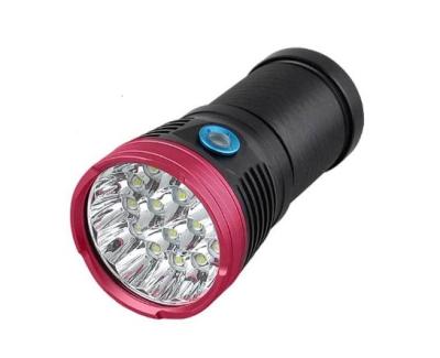 China Sterilization T9 T12 UV-C Torch 3w 6w 9w 265nm 275nm 310nm 365nm 810nm 830nm IR Flashlight for sale