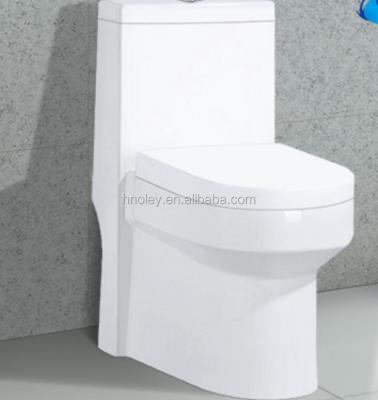 China Concealed Cistern Foshan Hotel WC Slow Down Seat Cover One Piece Toilet Made In China Ceramic Toilet With Good Quality for sale