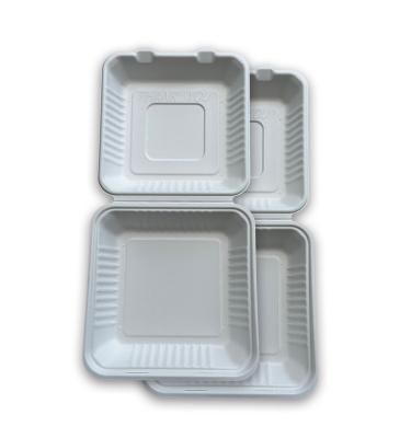 China Biodegradable Eco Friendly Biodegradable Food Packing Container Pulp Burger Box Clamshell Tableware Manufacturer for sale