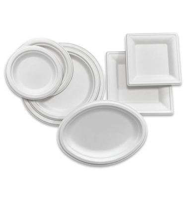 China Biodegradable Factory Custom Disposable Eco Friendly Tableware Set Paper Plate Party Manufacturer for sale