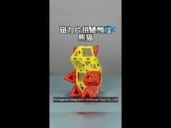 magnetic tile assembly with versatile shapes for animals and plants  lesser panda