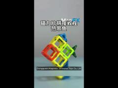 magnetic tile assembly with versatile shapes for animals and plants tropical fish