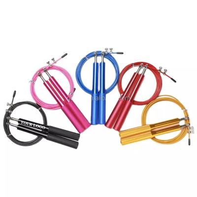 中国 Wholesale Custom Logo Training Fintness Accessories Aluminum Jump Rope plastic jump rope 販売のため