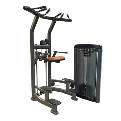 China Commercial Gym Dip/Chin Assist Fitness Exercise Machines for sale