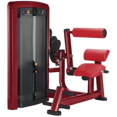 China Gym Exercise Fitness Pin Loaded Back Extension Machine for sale