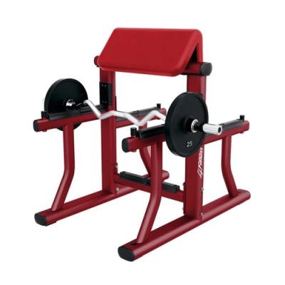 China Commercial Arm Curl Bench Preacher Curl Gym Bench for sale