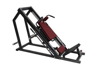 China Dual Use Hammer Strength Gym Equipment , Hack Squat Leg Press Machine for sale