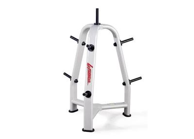 China Special Weight Bench Rack , Commercial Training Equipment Weight Plate Tree for sale