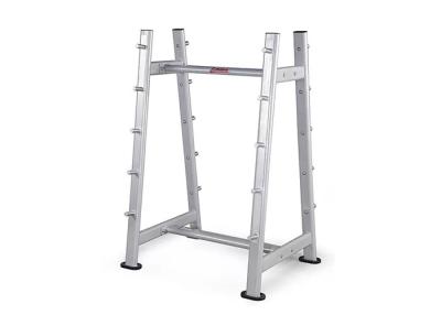 China USA Standard Home Gym Use 10 Pairs Barbell Power Rack Cage for sale