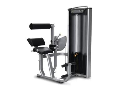 China Professional Matrix Exercise Equipment Seated Back Extension Machine for sale