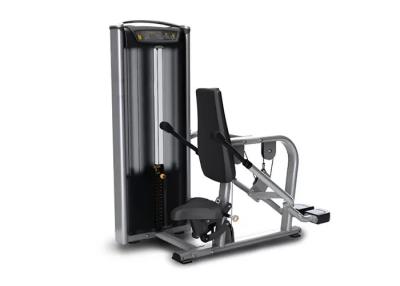 China Matrix Tricep Dip Machine , Indoor Gym Sports Exercise Equipment for sale