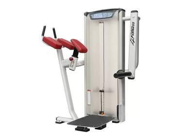 China Matrix Bodybuilding Gym Equipment Hip Machine Color Custom for sale