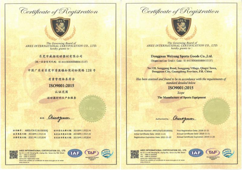 ISO9001 - Dongguan Luyisilin Technology Co., Ltd.