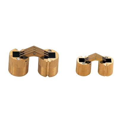 China Modern Aluminum Industrial Hinged Round Heavy Duty Door Accessories Pivot Hinges for sale